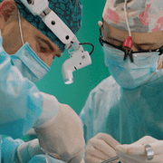 Penil recreation in gender transfer